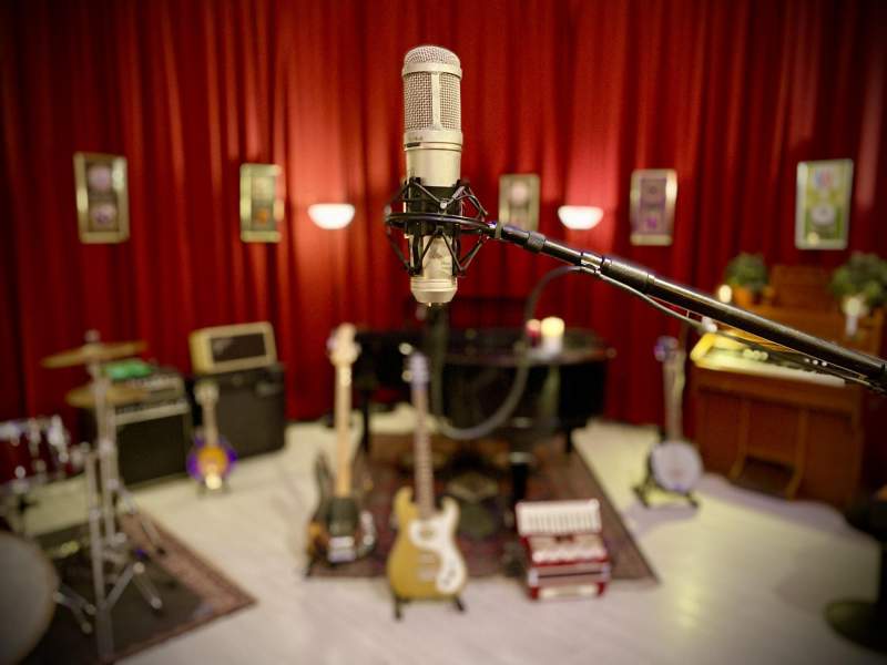 One of many microphones